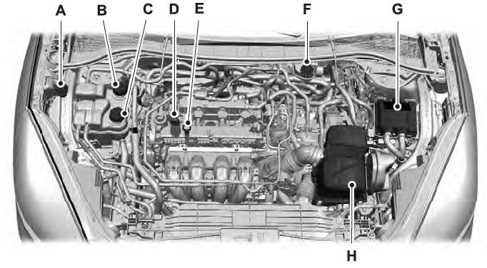 ford escape undercarriage diagram - JustineLamya